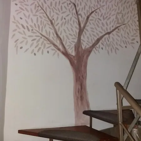 Centre & Coffee Patras